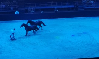 Spectacol ecvestru Sports Festival 2026