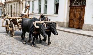 Clujul anilor '40 - conviețuirea dintre modernitatea unui important centru transilvănean și elementele tradiționale ale lumii rurale