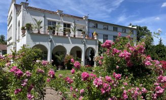 Un loc perfect pentru o plimbare de weekend: trandafirii sunt în plină înflorire la Grădina Botanică din Cluj-Napoca