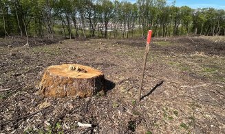 Clujenii, chemați să salveze pădurile Făget și Hoia. Dezbatere publică a Direcției Silvice
