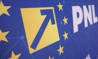 Surpriză! Pe cine propune PNL pentru funcția de premier al României