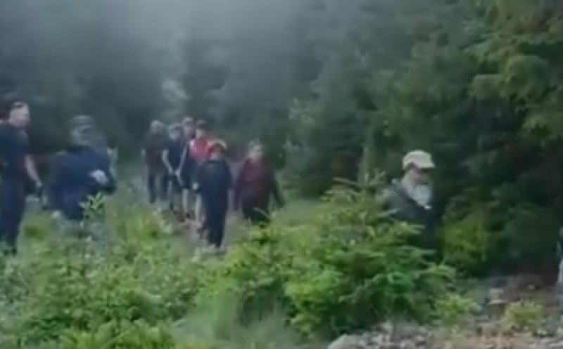 Zeci de turiști polonezi, evacuați de pe munte de jandarmii români după o întâlnire cu o ursoaică și puiul ei