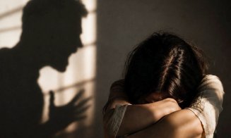 Un judecător, membru în CSM, compară Justiția cu o femeie agresată de soțul ei, Guvernul