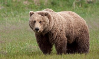 O nouă alertă de URS într-o comună din Cluj. Primarul a cerut populației să se adăpostească de urgență