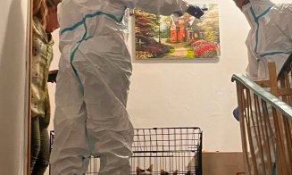 115 pisici salvate dintr-un apartament cu 2 camere / ”Și autorităților le-a luat ani de zile să facă ceva? Rușinos și jenant!”
