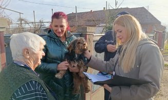 CJ Cluj continuă Programul de microcipare, înregistrare și sterilizare a câinilor cu stăpân