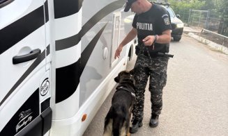 Trafic intens și controale la Electric Castle: 113 amenzi, 14 permise reținute și două infracțiuni rutiere în două zile
