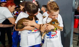 Cățelușii de la Centrul de Îngrijire din Cluj au fost atracția weekendului la Campionatul Mondial de Karate WUKF. Campania de adopții continuă