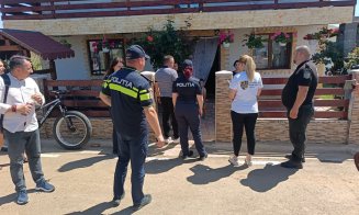 Continuă acțiunile privind gestionarea câinilor cu și fără stăpân din județul Cluj