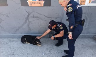 Acțiune fără precedent într-o comună din Cluj! Polițiștii au verificat câinii din gospodării și au dat avertismente