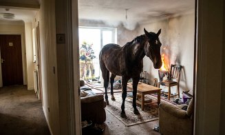 Clujenii, revoltați după anunțul primarului că rromii de la Pata Rât vor fi relocați în locuințe din oraș / Unii și-au amintit de familiile care au dus cai în apartamentele din Mănăștur și au făcut foc în casă