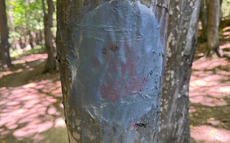 Traseul pilot din Făget pentru persoane cu dizabilități a fost vandalizat. Conducerea CJ Cluj anunță că va fi refăcut