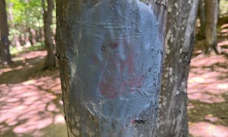 Traseul pilot din Făget pentru persoane cu dizabilități a fost vandalizat. Conducerea CJ Cluj anunță că va fi refăcut