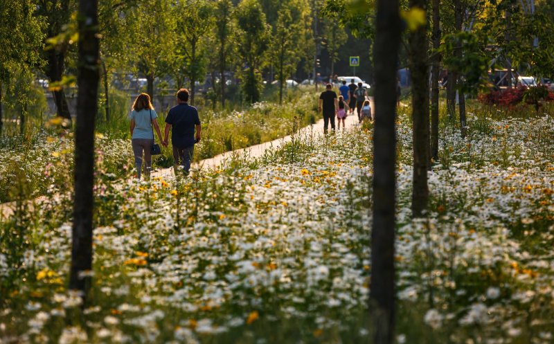 Emil Boc explică de de nu e tăiată iarbă de pe malul Someșului: "Un oraș verde e unul care respectă natura"