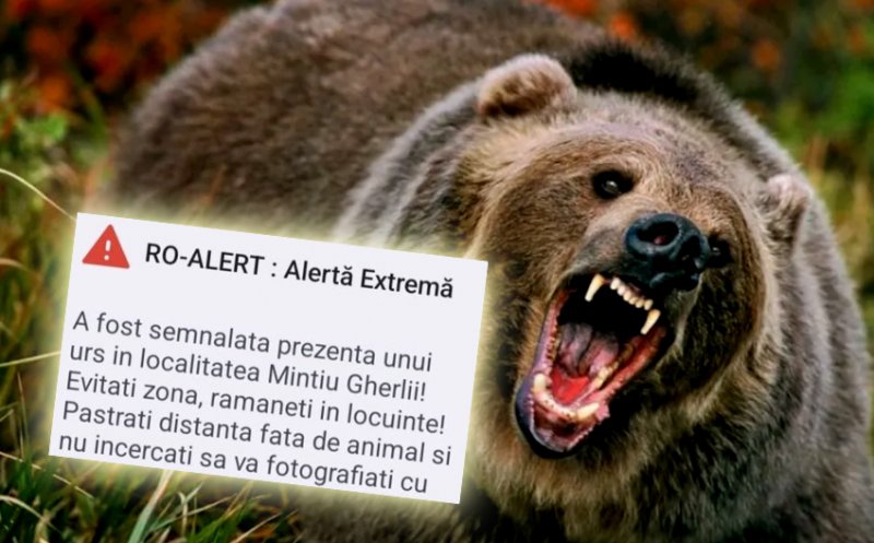 Urs în zona unei localități din județul Cluj. A fost transmis mesaj RO-Alert către populație