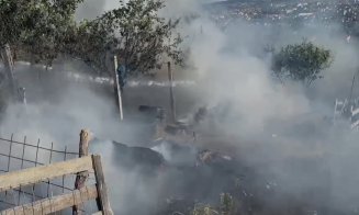 Incendiu de vegetație uscată în Cluj-Napoca. Pompierii au intervenit cu trei autospeciale