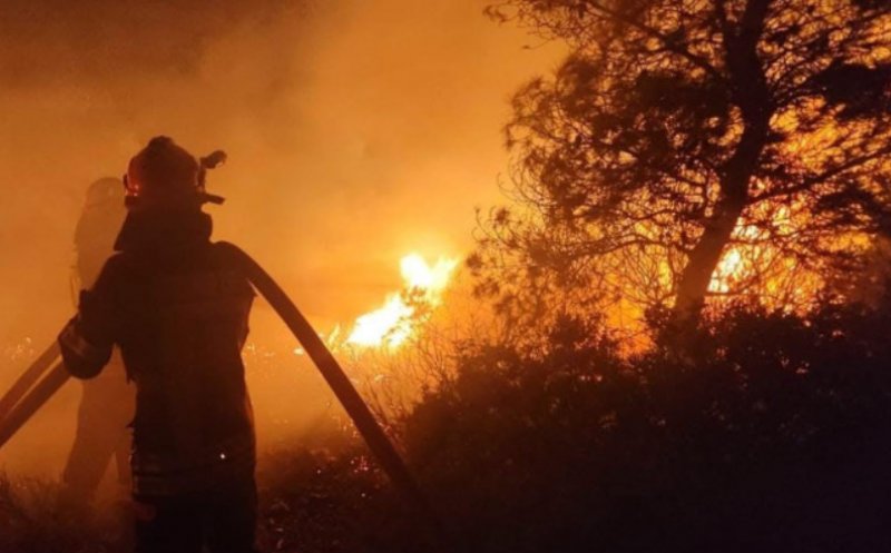 Incendiu de pădure în Cluj. Pompierii intervin cu dificultate din cauza terenului accidentat