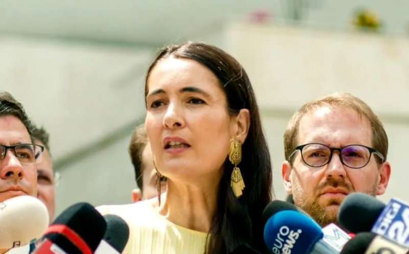 Clotilde Armand, condamnată la un an de închisoare. Ce a stabilit instanța de fond