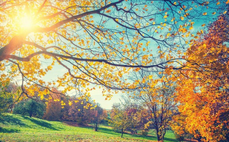 Ttoamna începe cu temperaturi peste normal. Ce arată estimările ANM până în octombrie