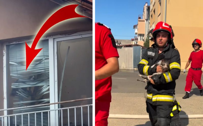 Poveste cu final fericit din infernul incendiului din Florești / ”Nu știm prin ochii cărei vietăți ne privește Dumnezeu”