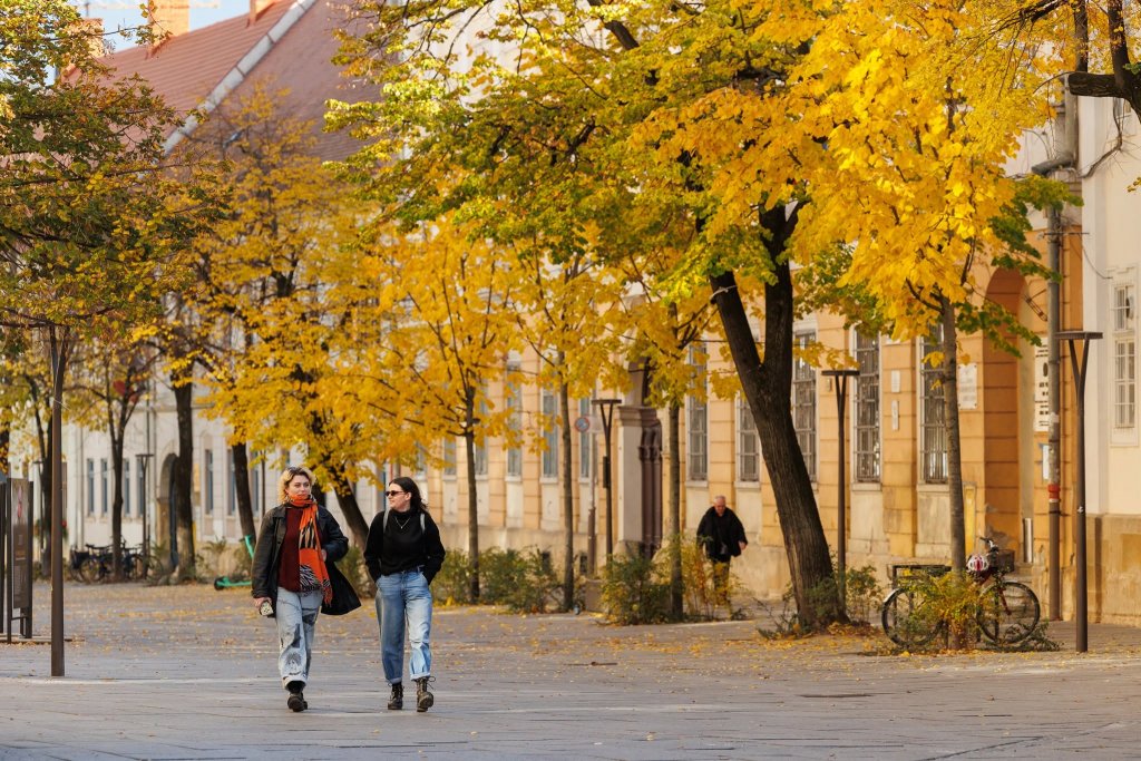 Ce se întâmplă azi în Cluj-Napoca. Evenimentele de sâmbătă