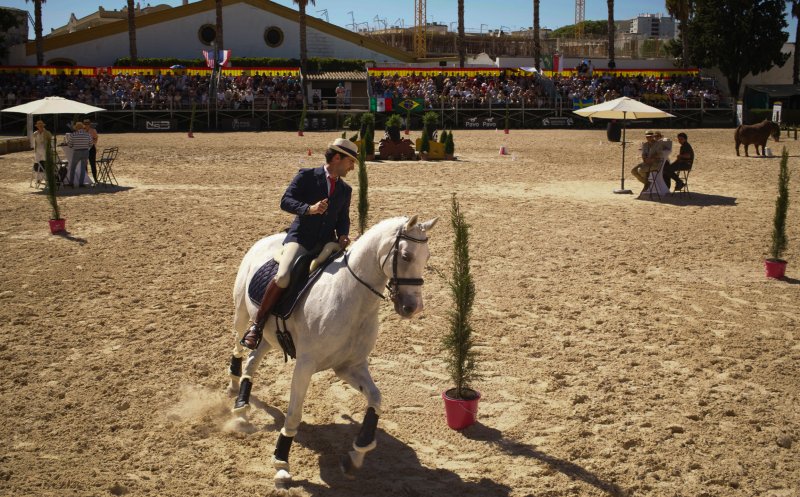 Aur pentru unul dintre caii centrului ecvestru de la Turda la Campionatul Mondial de Working Equitation
