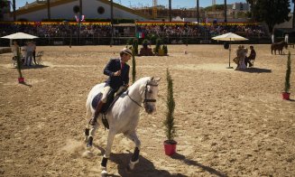 Aur pentru unul dintre caii centrului ecvestru de la Turda la Campionatul Mondial de Working Equitation