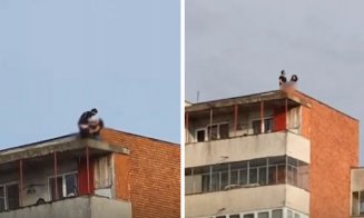 Scene neobișnuite pe acoperișul unui bloc: două persoane, filmate în timp ce întrețineau relații intime