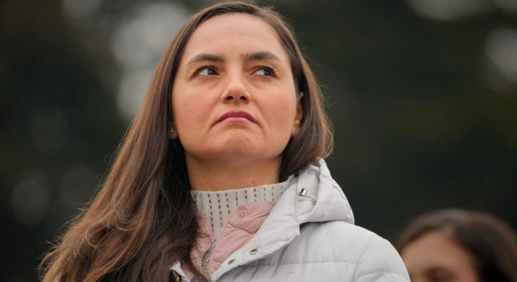 Anamaria Gavrilă: "POT va susține un guvern tehnocratic desemnat de președintele Nicușor Dan"