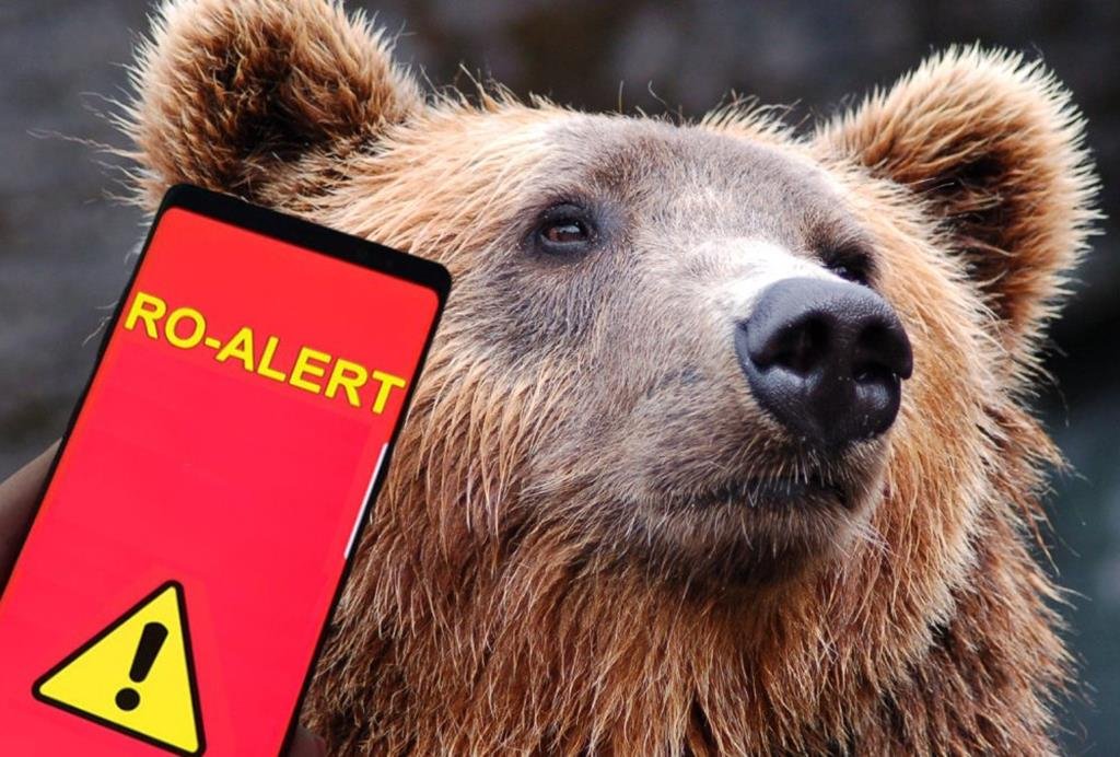 URȘI semnalați joi noaptea în câteva localități din Alba, județ vecin Clujului / ISU a transmis mesaje RO-ALERT