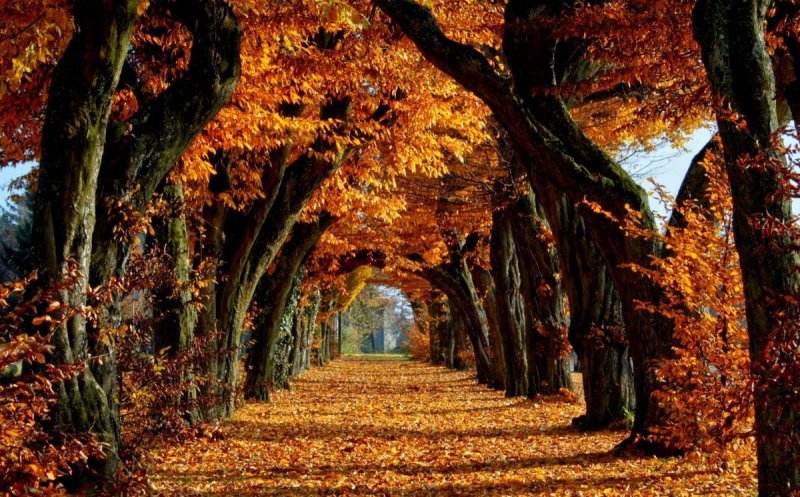 Când este echinocțiul de toamnă 2026, momentul de la care ziua începe să scadă/ Se mai trece la ora de iarnă?