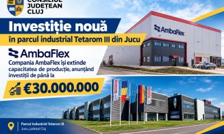 Investiție nouă în parcul industrial Tetarom III din Jucu. Compania care bagă până la 30 de milioane de euro