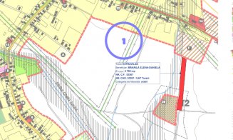 Undă VERDE. Proiectul imobiliar al primăriței din Tureni merge mai departe