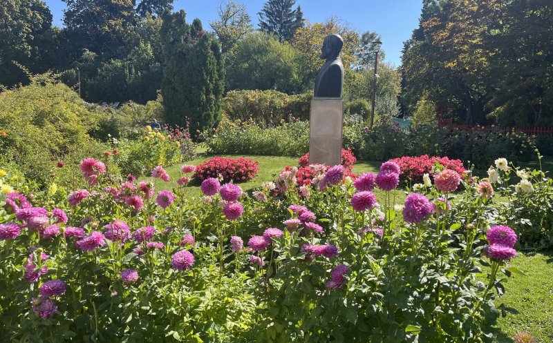 Pensionarii au azi acces gratuit la grădina botanică. Se fac tururi ghidate, se schimbă programul