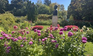 Pensionarii au azi acces gratuit la grădina botanică. Se fac tururi ghidate, se schimbă programul