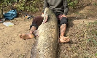 Captură record pe Someș! Un ”MONSTRU” de peste 2 metri și 65 de kilograme