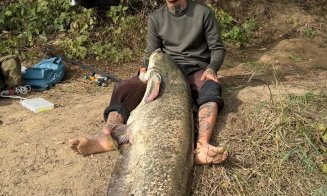 Captură record pe Someș! Un ”MONSTRU” de peste 2 metri și 65 de kilograme