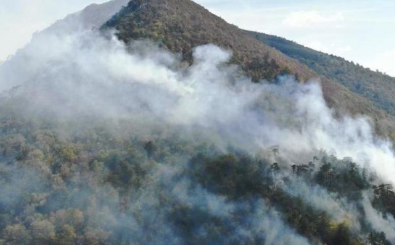 Sute de pompieri, silvicultori şi piloţi de elicoptere luptă cu incendiile de pădure din apropierea staţiunilor Băile Herculane şi Băile Olăneşti