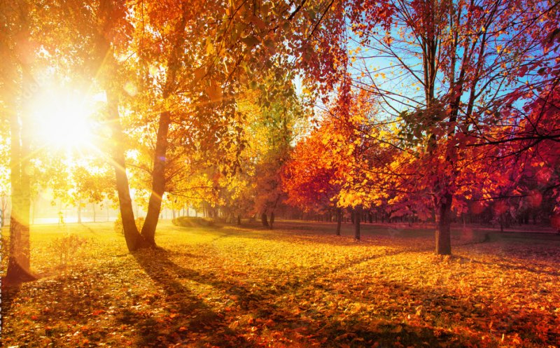 Va fi o toamnă superbă la Cluj! Prognoza meteo până la început de noiembrie