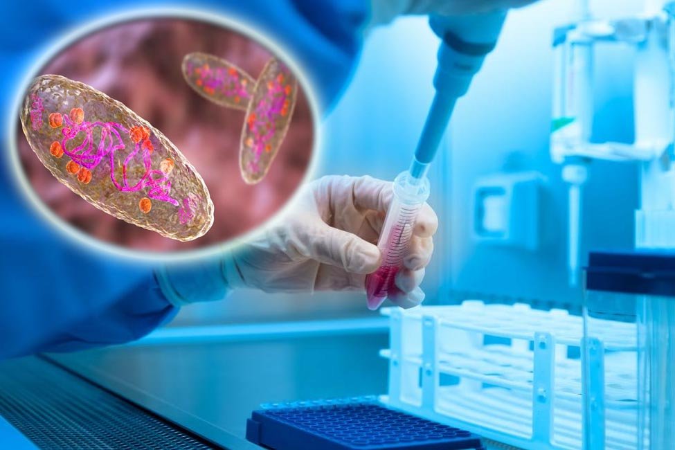 Organizațiile sanitare, în alertă după cazul de ciumă pulmonară din Rusia. Aproape 200 de persoane, puse în carantină