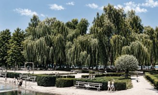 Clujul verde al anilor '50 – parcuri, grădini și peisaj urban