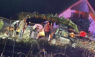 Accident GRAV cu două două mașini și un camion în Livada! Descarcerarea, SMURD-ul și un echipaj SAJ, la fața locului/ Traficul este blocat