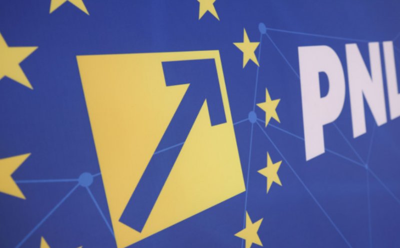 PNL discută susținerea Guvernului Niculescu. Ce condiții pun liberalii pentru votul de învestitură