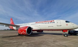 AnimaWings, un nou termen în dosarul de insolvență. Banca Transilvania și Aeroportul Cluj, printre creditori