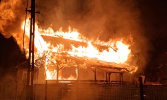 Coșmar pentru o asociație din Cluj care salvează câini. Casa în care își punea toate speranțele a fost distrusă de incendiu