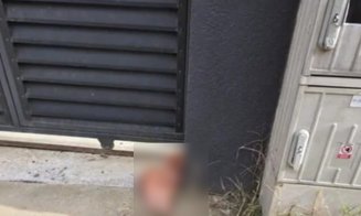 Cofondator AUR a reclamat la Poliție că a găsit un cap de porc în fața porții locuinței sale
