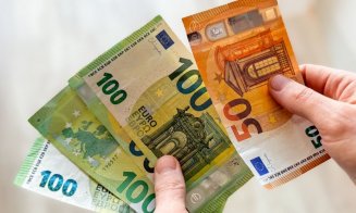 Euro a crescut ușor în ziua învestirii Guvernului Luca Niculescu