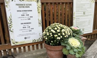 Toamna ascunde o comoară la Grădina Botanică din Cluj. Șofranul, cel mai scump condiment din lume