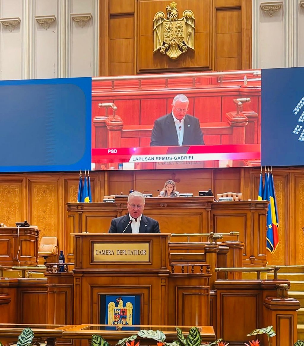 Remus Lăpușan cere disciplină financiară în România: „După blocaje și întârzieri, avem nevoie de investiții și rezultate”