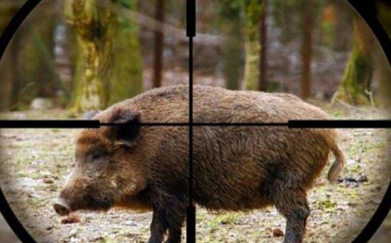 Femeie împușcată mortal în Maramureș. Ar fi fost confundată cu un animal sălbatic
